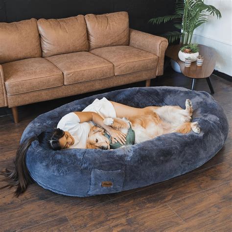 adult dog bed shark tank.